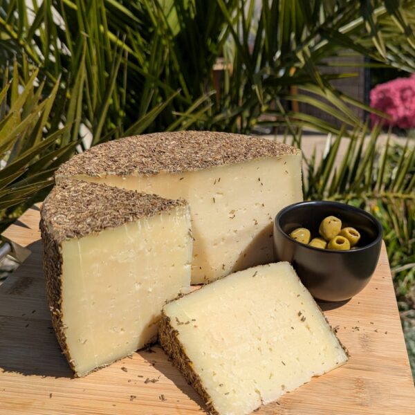 Manchego Romarin - Fromage de brebis