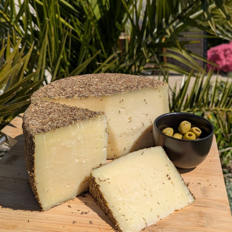 Manchego Romarin - Fromage de brebis